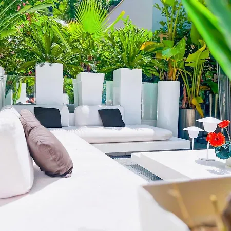 Le Lys - Terrasse Apartment *